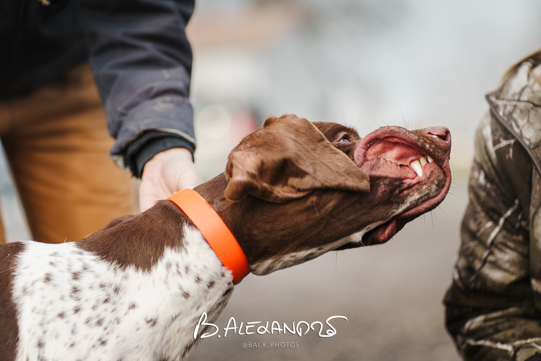 Photo 018 | Bertrand ALEXANDRE – Compagnons